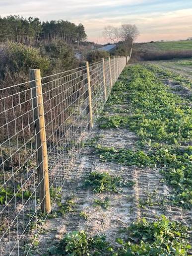 Farm & Field Fencing installation by Tazewell County Fence Co. — serving Morton, Pekin & Central Illinois